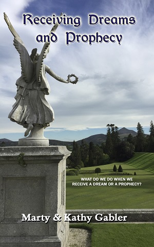 CVR_RecDrmPro_ JPEG_Frt_300