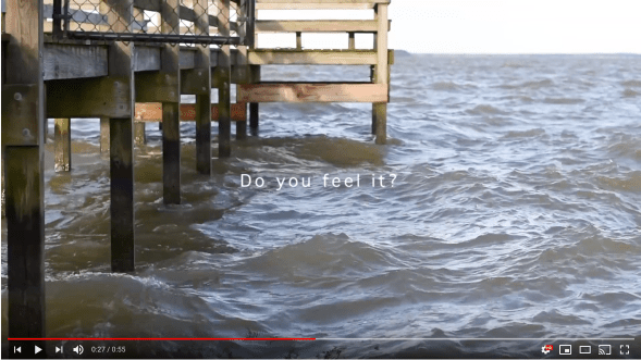 Screen Shot 2020-01-03 at 10.19.35 PM.png