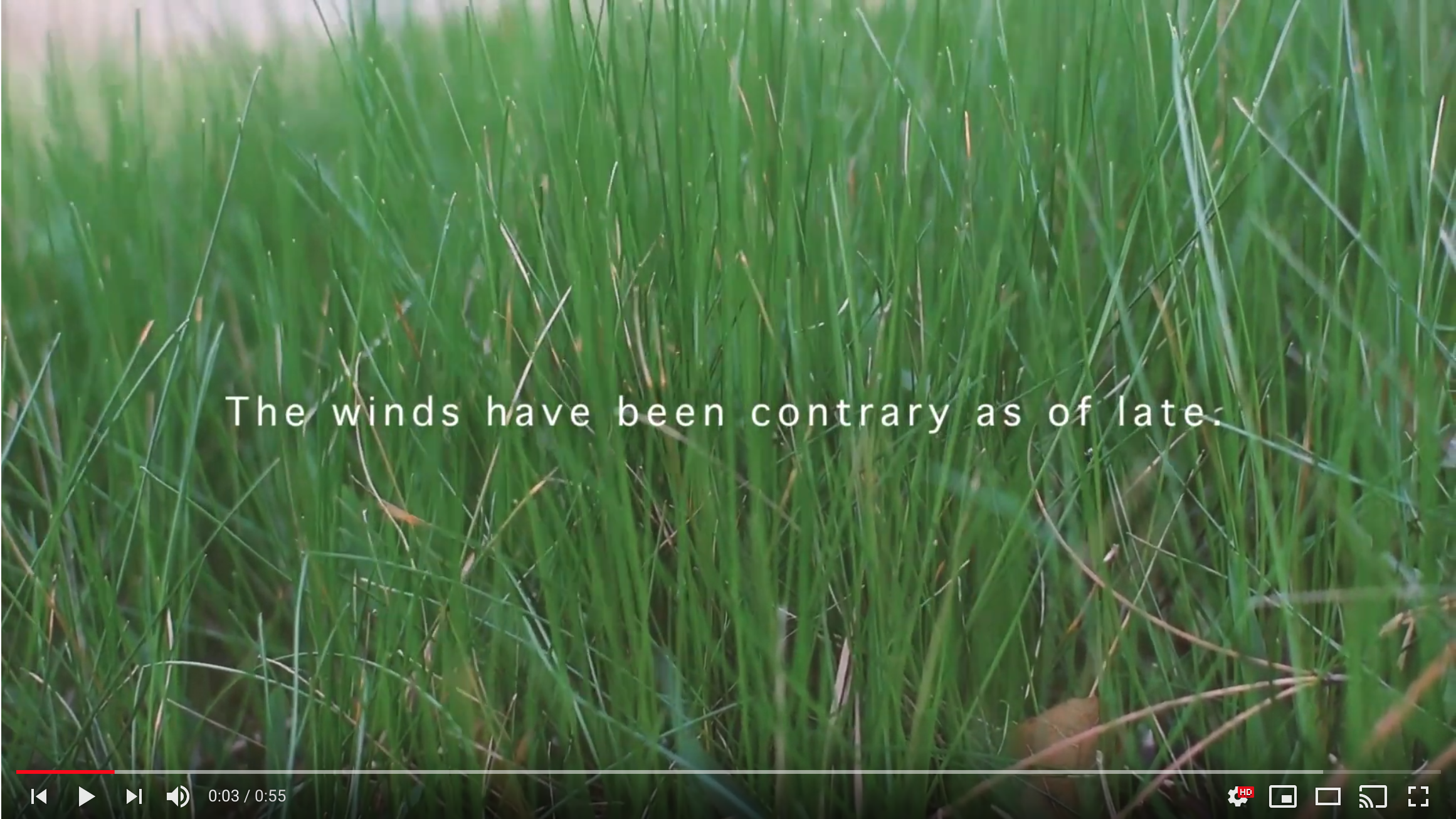 Screen Shot 2020-01-27 at 9.51.14 AM.png