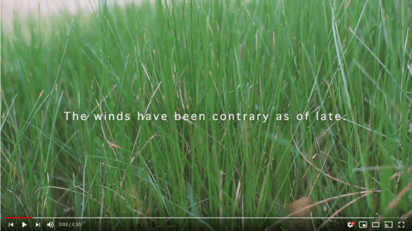 Screen Shot 2020-01-27 at 9.51.14 AM.png