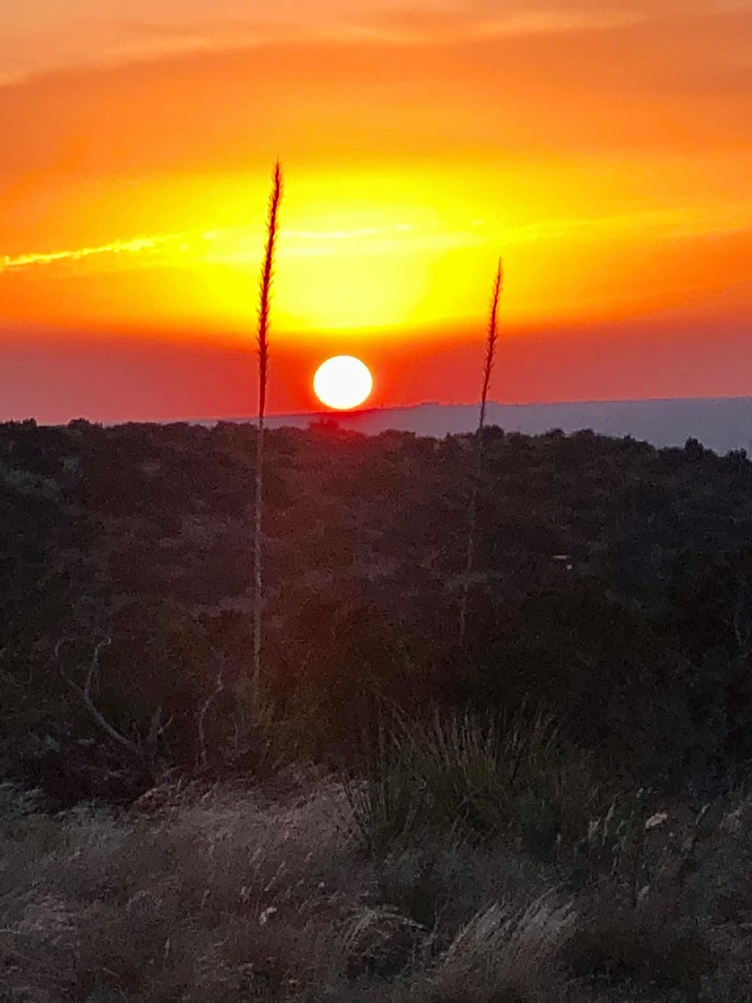 MichelleMountainSunset