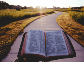 Free Bible Path