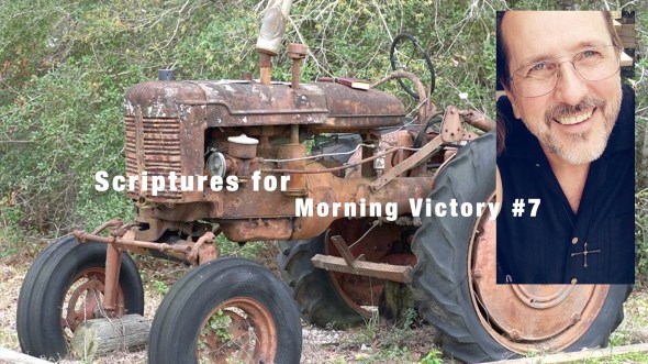 MPG ScrpMrnVct #7 Pic